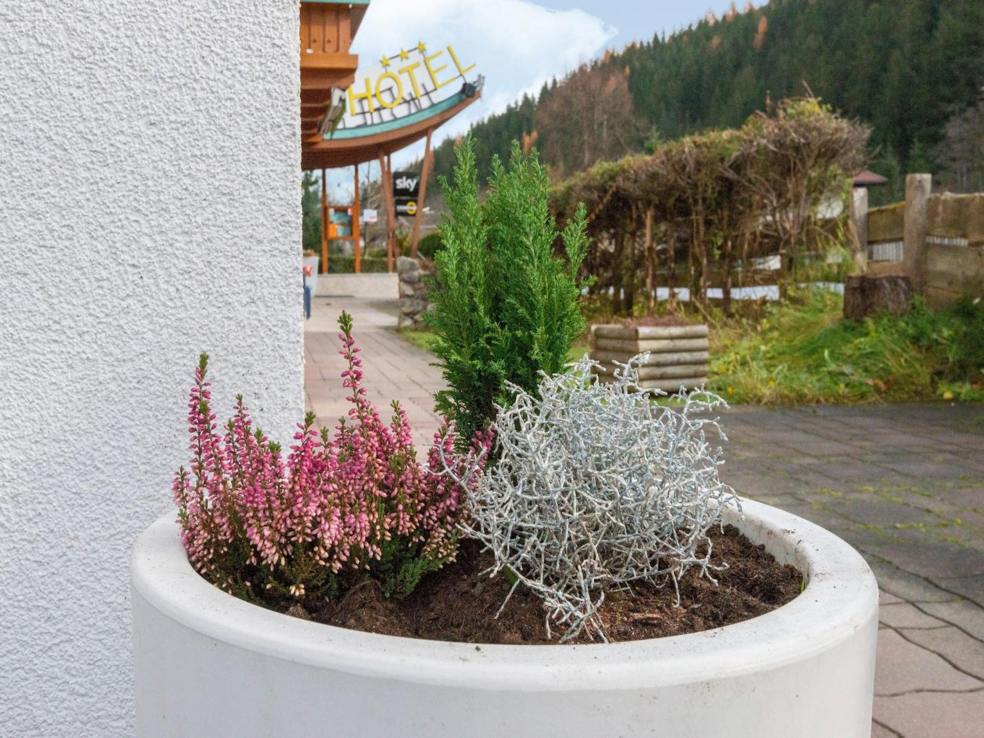 Lovely Apartment With Sauna Ski Storage Pool Terrace Wald im Pinzgau Exterior photo